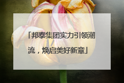 邦泰集团实力引领潮流，焕启美好新章