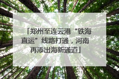 郑州至连云港“铁海直运”线路打通，河南再添出海新通道