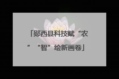 郧西县科技赋“农”“智”绘新画卷