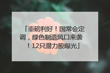 重磅利好！国常会定调，绿色制造风口来袭！12只潜力股曝光