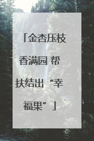 金杏压枝香满园 帮扶结出“幸福果”