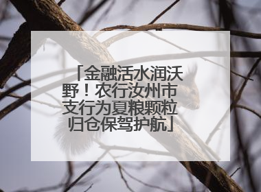 金融活水润沃野！农行汝州市支行为夏粮颗粒归仓保驾护航