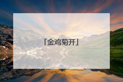 金鸡菊开