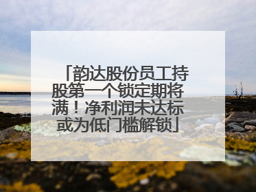 韵达股份员工持股第一个锁定期将满！净利润未达标或为低门槛解锁