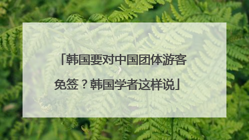 韩国要对中国团体游客免签？韩国学者这样说