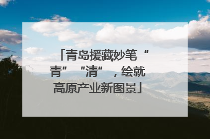 青岛援藏妙笔“青”“清”，绘就高原产业新图景
