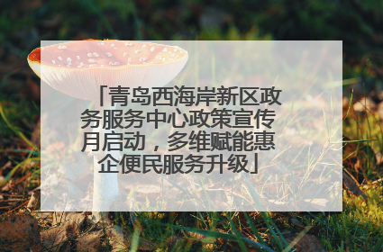 青岛西海岸新区政务服务中心政策宣传月启动，多维赋能惠企便民服务升级