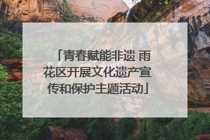 青春赋能非遗 雨花区开展文化遗产宣传和保护主题活动