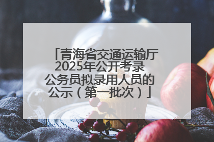 青海省交通运输厅2025年公开考录公务员拟录用人员的公示（第一批次）