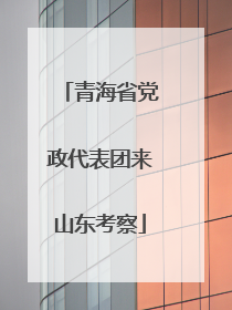 青海省党政代表团来山东考察