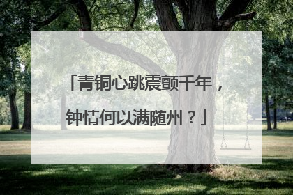 青铜心跳震颤千年，钟情何以满随州？