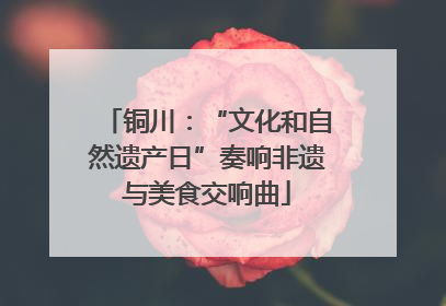 铜川：“文化和自然遗产日”奏响非遗与美食交响曲