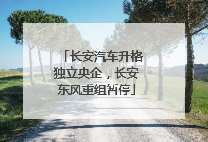 长安汽车升格独立央企，长安东风重组暂停
