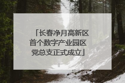 长春净月高新区首个数字产业园区党总支正式成立
