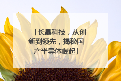 长晶科技，从创新到领先，揭秘国产半导体崛起