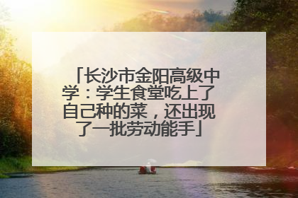 长沙市金阳高级中学：学生食堂吃上了自己种的菜，还出现了一批劳动能手