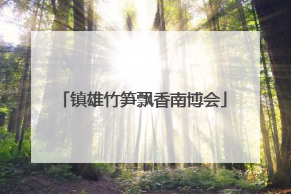 镇雄竹笋飘香南博会