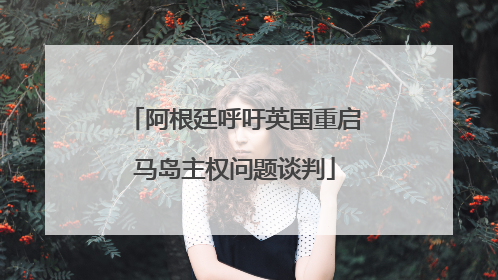 阿根廷呼吁英国重启马岛主权问题谈判