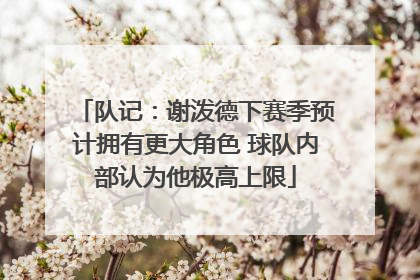 队记：谢泼德下赛季预计拥有更大角色 球队内部认为他极高上限