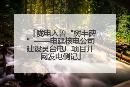 陇电入鲁“树丰碑”——电建核电公司建设灵台电厂项目并网发电侧记