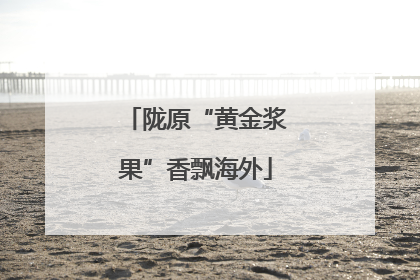 陇原“黄金浆果”香飘海外