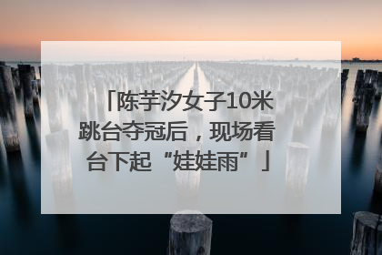 陈芋汐女子10米跳台夺冠后，现场看台下起“娃娃雨”