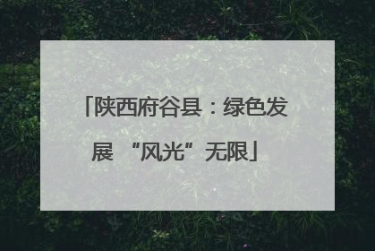 陕西府谷县：绿色发展 “风光”无限