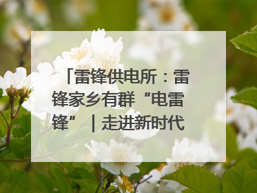 雷锋供电所：雷锋家乡有群“电雷锋”｜走进新时代“雷锋传人 长沙榜样”