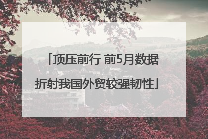 顶压前行 前5月数据折射我国外贸较强韧性