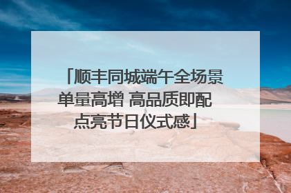顺丰同城端午全场景单量高增 高品质即配点亮节日仪式感
