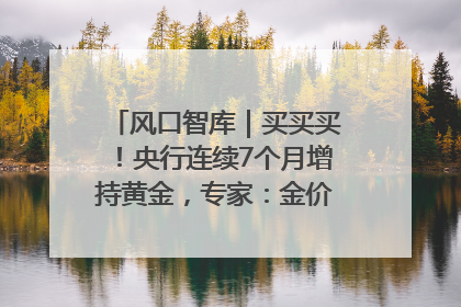 风口智库｜买买买！央行连续7个月增持黄金，专家：金价或仍易涨难跌