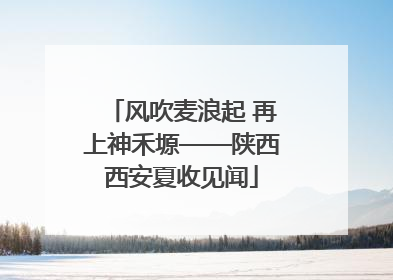 风吹麦浪起 再上神禾塬——陕西西安夏收见闻