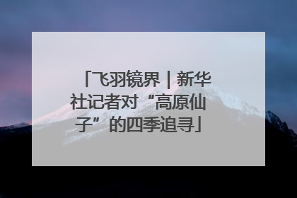 飞羽镜界｜新华社记者对“高原仙子”的四季追寻