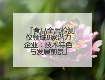 食品金属检测仪领域8家潜力企业：技术特色与发展前景