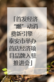 首发经济“燃”动消费新引擎 泰安市举办首店经济项目品牌入驻推进会