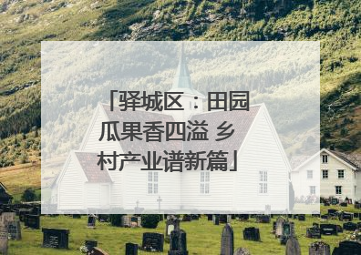 驿城区：田园瓜果香四溢 乡村产业谱新篇