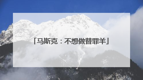 马斯克：不想做替罪羊