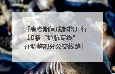 高考期间成都将开行10条“护航专线” 并调整部分公交线路