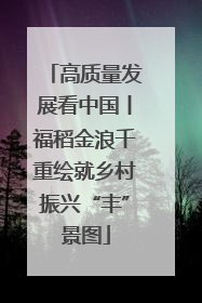 高质量发展看中国丨福稻金浪千重绘就乡村振兴“丰”景图