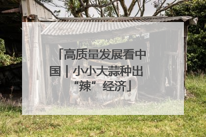 高质量发展看中国｜小小大蒜种出“辣”经济