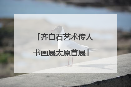 齐白石艺术传人书画展太原首展