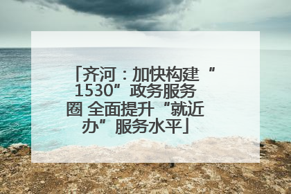 齐河：加快构建“1530”政务服务圈 全面提升“就近办”服务水平