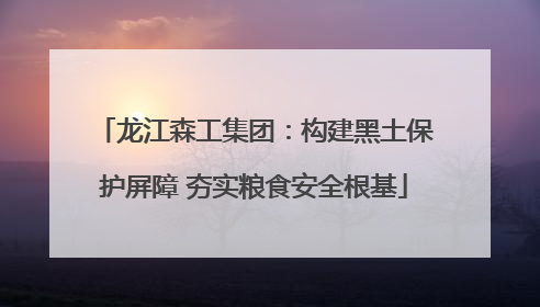 龙江森工集团：构建黑土保护屏障 夯实粮食安全根基
