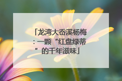 龙湾大岙溪杨梅：一颗“红盘绿蒂”的千年滋味