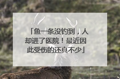 鱼一条没钓到，人却进了医院！最近因此受伤的还真不少