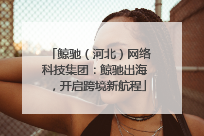 鲸驰（河北）网络科技集团：鲸驰出海，开启跨境新航程