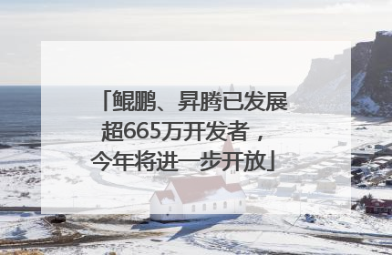 鲲鹏、昇腾已发展超665万开发者，今年将进一步开放