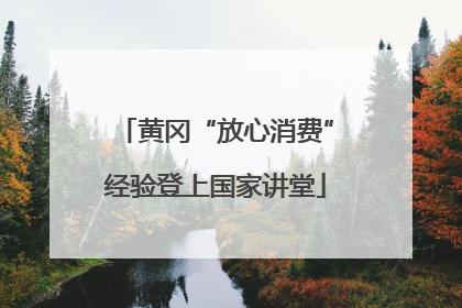 黄冈“放心消费”经验登上国家讲堂