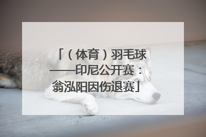 （体育）羽毛球——印尼公开赛：翁泓阳因伤退赛