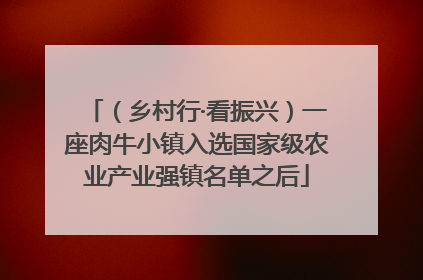 （乡村行·看振兴）一座肉牛小镇入选国家级农业产业强镇名单之后
